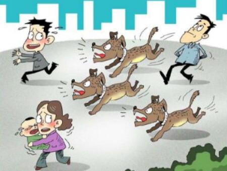 2018年宠物伤人的赔偿责任谁来承担？要怎么赔偿？