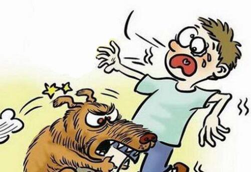 2018年宠物伤人的赔偿责任谁来承担？要怎么赔偿？