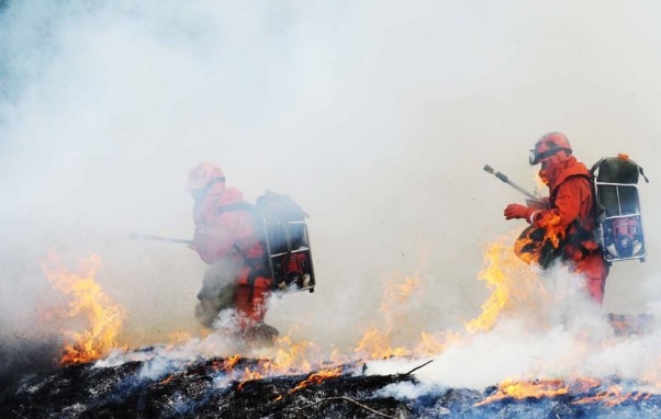 2019年紧急避险要符合哪些条件?哪些人不适用紧急避险?