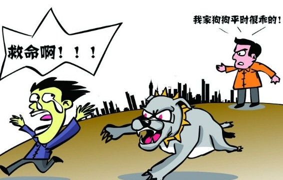 2018年被狗咬伤如何索要赔偿?要求赔偿需要提供哪些证据？