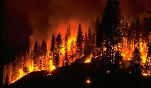 四川森林大火致30人失联 2019年放火罪如何规定？