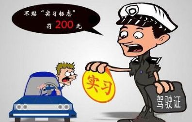 2019年实习期上高速怎么处罚?实习期上高速应注意哪些?