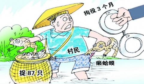 2019年非法狩猎罪立案标准与量刑标准是什么?