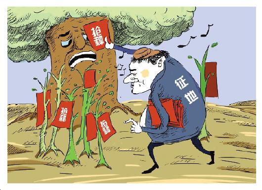 2019年征地树木补偿标准是什么？具体测量计算方法是什么？