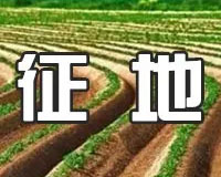 2019年征地树木补偿标准是什么？具体测量计算方法是什么？