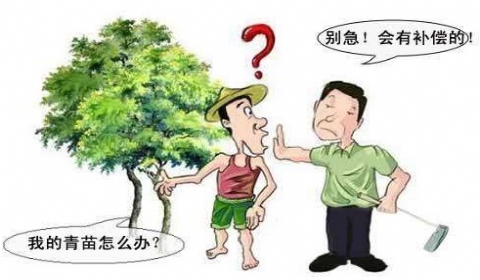 2019年征地补偿政策有哪些规定?对征地补偿不满意怎么办?