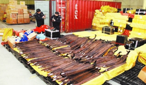 2019年哪些行为属于走私行为?涉嫌走私犯罪如何处罚?