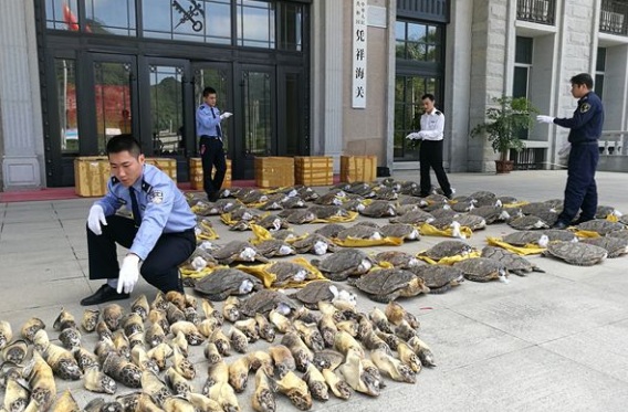 2019年哪些行为属于走私行为?涉嫌走私犯罪如何处罚?