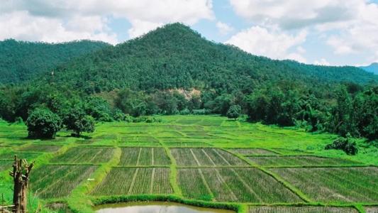 耕地占用税法9月1日起正式施行 2019年最新中华人民共和国耕地占用税法