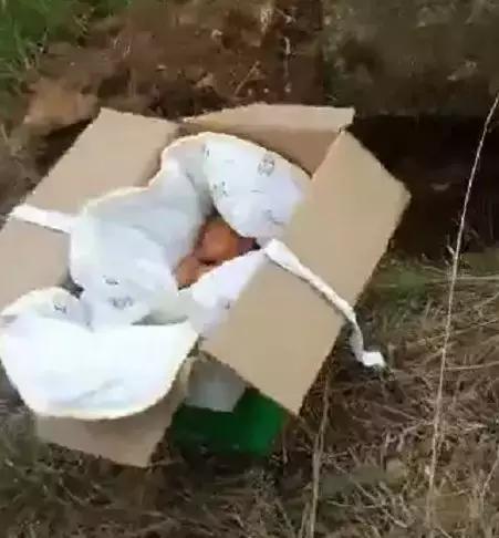 荒山挖出活婴 遗弃婴儿犯罪怎么判刑？