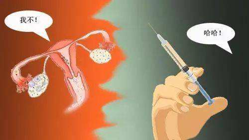 多次捐卵生命垂危 为什么说捐卵违法？