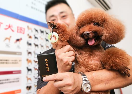 2019年上海个人办理养犬登记要准备哪些材料？上海办理养犬登记的流程是怎样？