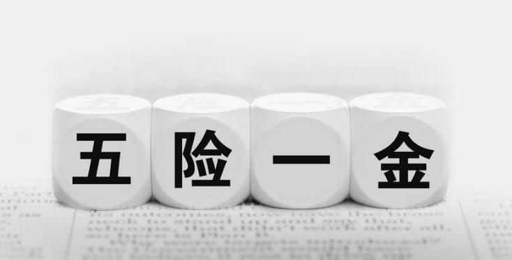 2020年五险一金的缴纳方式有哪些？自由职业者如何缴纳五险一金？