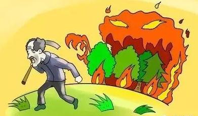 甘肃突发森林火灾 森林失火罪立案标准是什么？