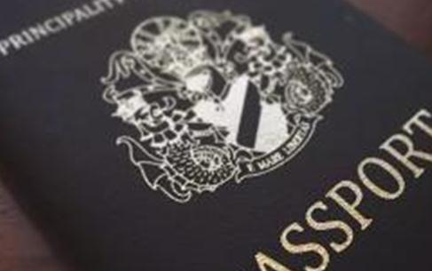 小罗因假护照被捕 持有假护照要负哪些法律责任？