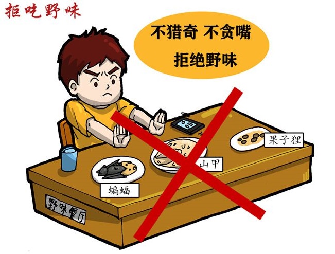 中华人民共和国野生动物法最新实施的时间？现行这部法律存在哪些问题？