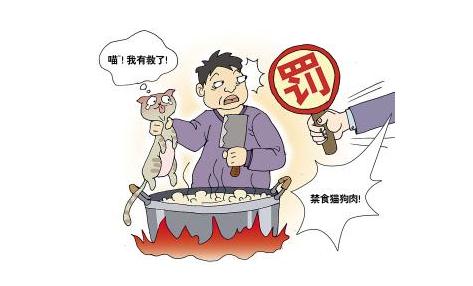 建议用法律制裁虐待动物行为 虐待动物行为怎么处理？