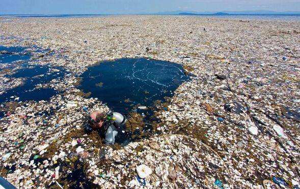 2020船舶污染的特点有哪些？危害性有哪些？