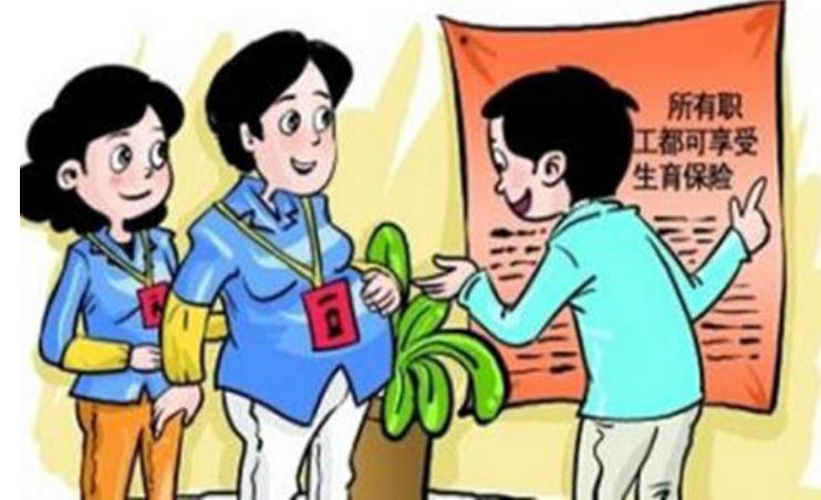 男方可以报生育险吗？男方生育险报销条件是怎样的？