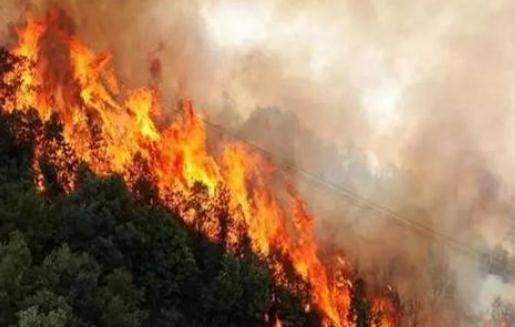 失火罪处以多少年有期徒刑？失火罪与放火罪的区别是什么？