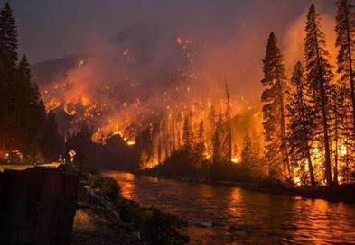 失火罪处以多少年有期徒刑？失火罪与放火罪的区别是什么？