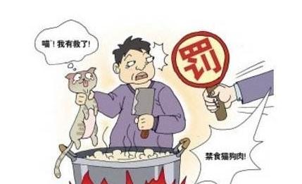 福州大学回应准研究生疑似虐狗 虐待动物行为怎么处理？