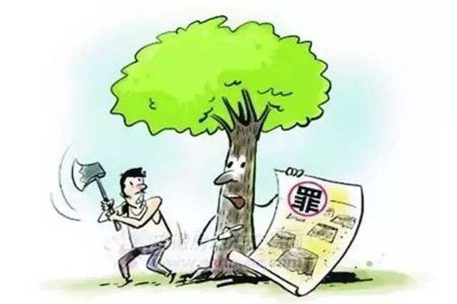 自己家种的树能不能砍？砍了会怎么样呢？