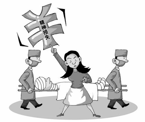 精神损害包括哪些?精神损害赔偿适用什么原则?