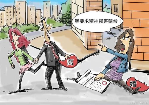 精神损害包括哪些精神损害赔偿适用什么原则