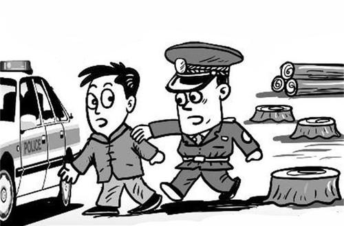 非法滥伐林木罪会怎么量刑？滥伐林木罪可以轻判吗？