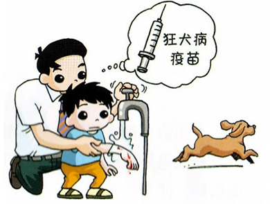 狗咬人报警会怎么样处理？狗咬人了主人需要负什么法律责任？