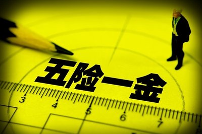 五险一金的缴纳比例是多少?如何查询五险一金缴纳情况?