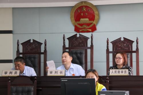 什么人会因为职业冲突不能担任人民陪审员？律师能否担任人民陪审员？