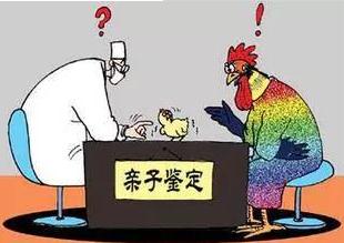 亲子鉴定在法律上有哪些作用？怎么做亲子鉴定才合法？