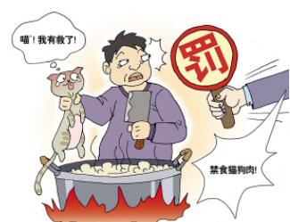 虐待动物犯法吗?虐待动物怎么举报?