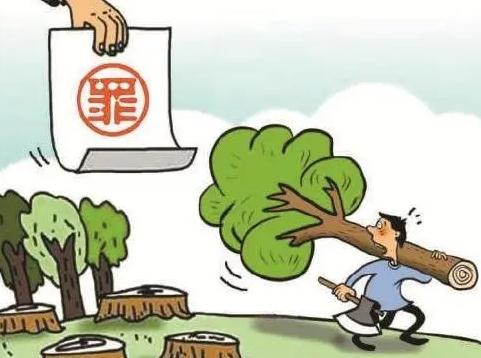 滥伐林木罪最新构成要件有哪些？滥伐林木罪最新量刑标准是什么？