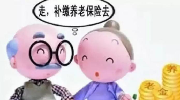 2021年养老保险能补交吗？养老保险怎么交网上缴费？