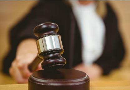 这位出席活动被嘘的老虎被公诉 被公诉的人一定会被判刑吗?