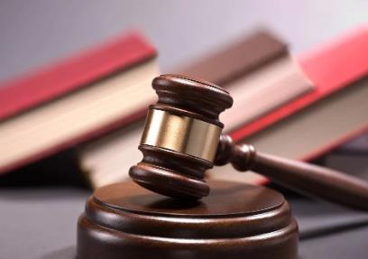 这位出席活动被嘘的老虎被公诉 被公诉的人一定会被判刑吗?