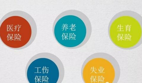 社保卡和医保卡是同一张卡吗？有着什么具体用途？