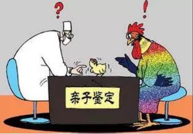 亲子鉴定一般多久?亲子鉴定怎么做?