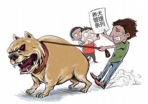 2022狗咬人被打死谁的责任?狗咬死人主人会判刑吗?