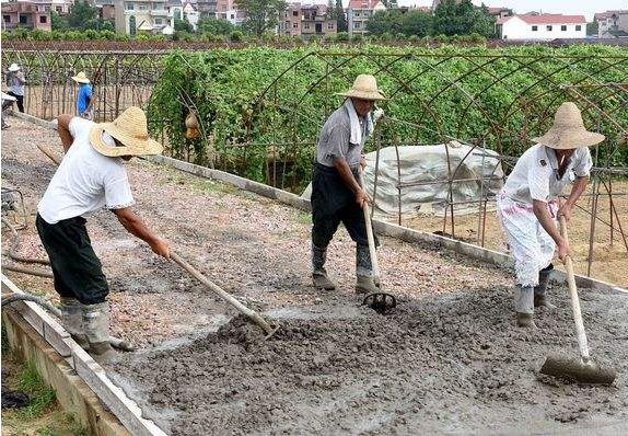 2022农村修路占地补偿标准是多少?农村修路占地被强拆怎么办?
