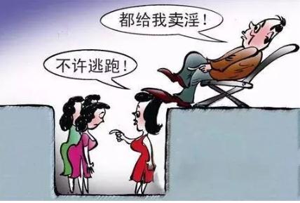2022年组织卖淫罪立案及量刑标准是怎样的？