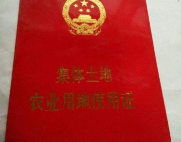 集体土地使用证该如何办理?集体土地使用证年限多久?