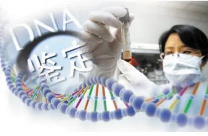 2022司法亲子鉴定需要多少钱?司法亲子鉴定规范流程
