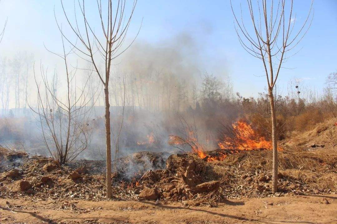 路边烧纸拘留多少天?失火罪怎么处罚?