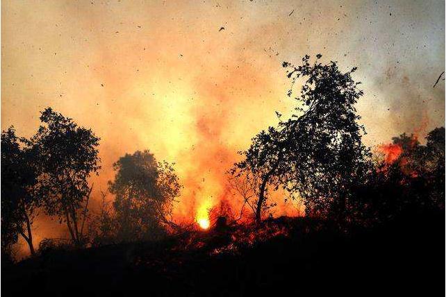 路边烧纸拘留多少天?失火罪怎么处罚?