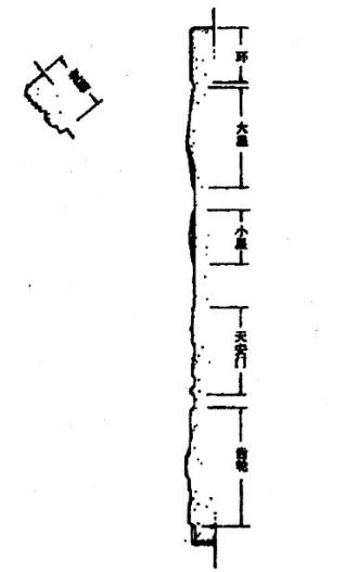最新中华人民共和国国徽法修订