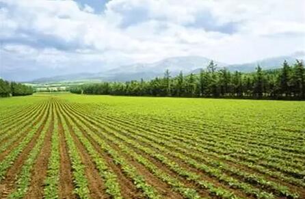 农村集体土地使用证是什么?农村集体土地使用权可以转让吗?